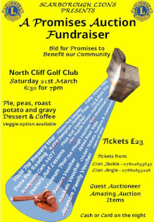 Lions Promises Auction